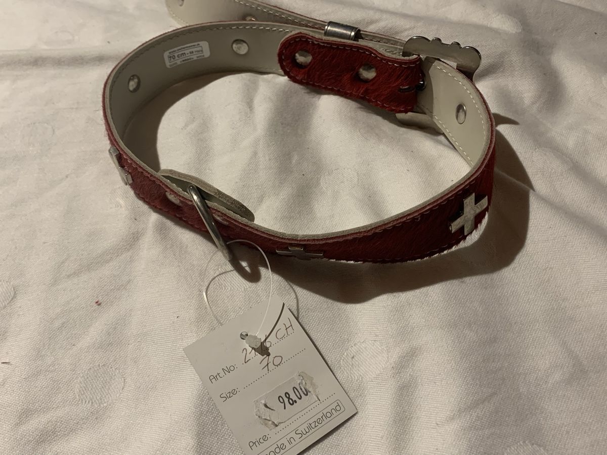 Guinzagli & Collari: Appenzeller Hundehalsband Swiss Made – Nuovo (secondo la descrizione) da Dotnacht venduto da 007ym 1