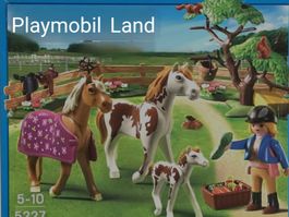 Playmobil Pferdekoppel 5227