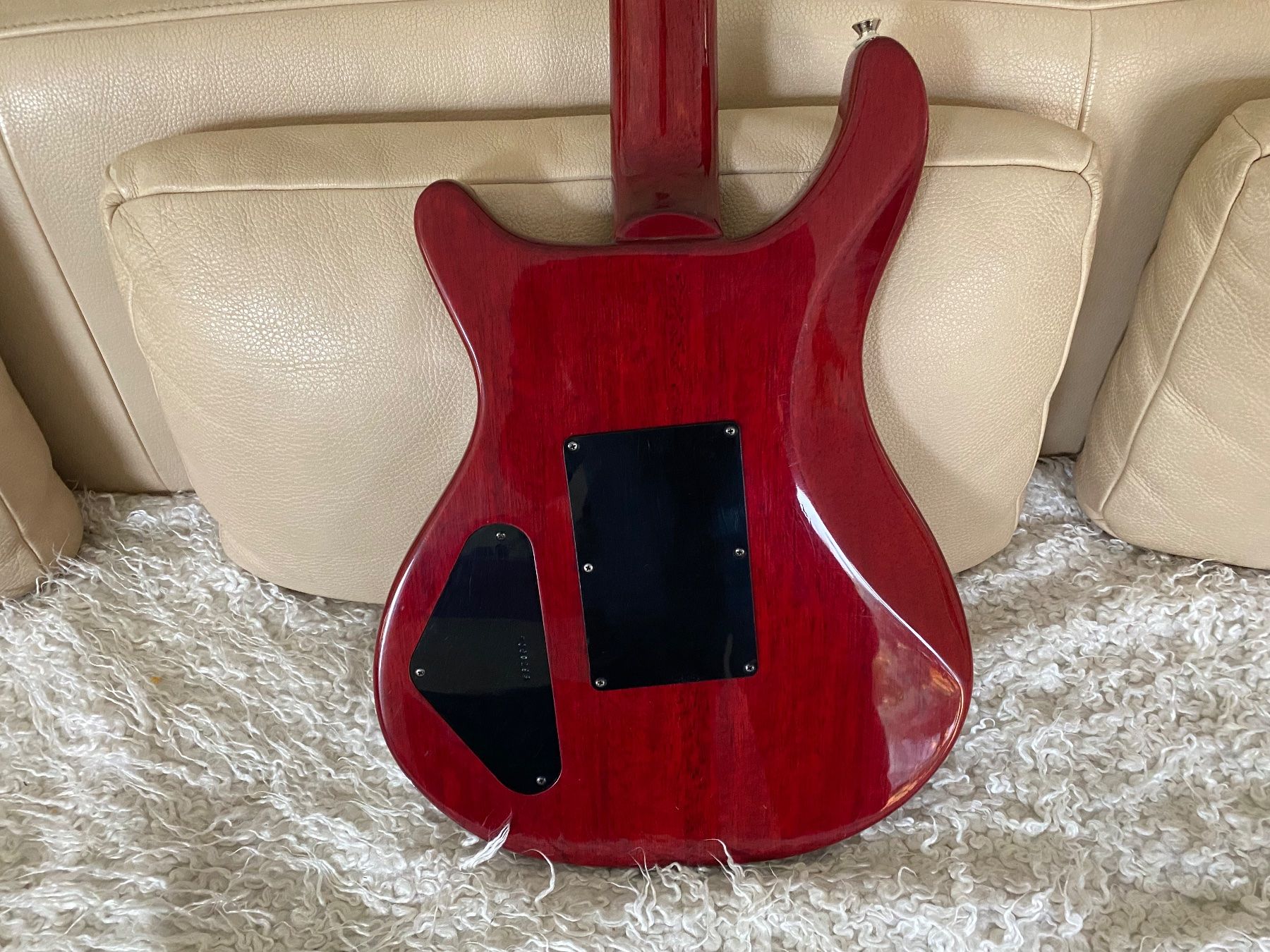 Strumenti musicali: Washburn RS 10 V – Usato da Mels venduto da SuperMario1969 8