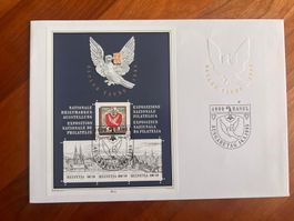 Erstagsbrief FDC 1995 Midi Brief  (R141)