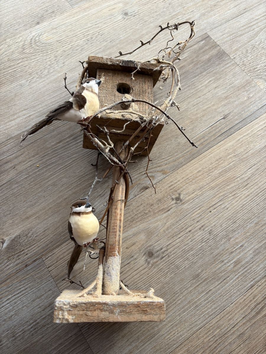 Tutte le decorazioni: Décoration : nichoir et oiseaux décoratifs – Usato da Zweisimmen venduto da Domii 3