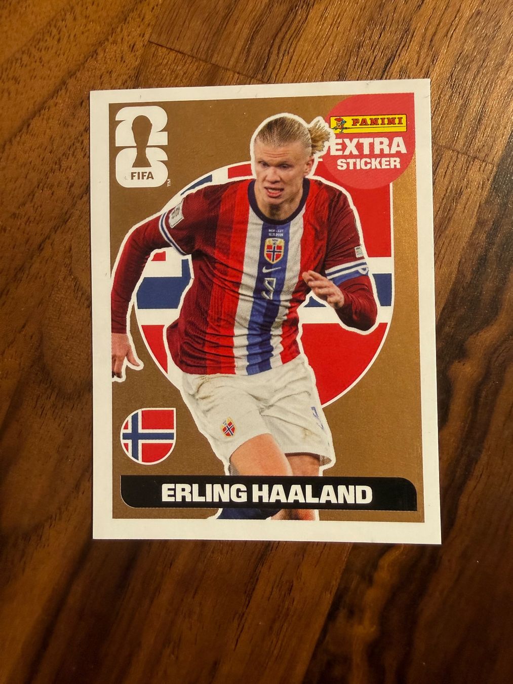Panini Carte collezionabili: Panini Extra Sticker Erling Haaland Bronze – Usato da Dällikon venduto da Scuf_Umbau