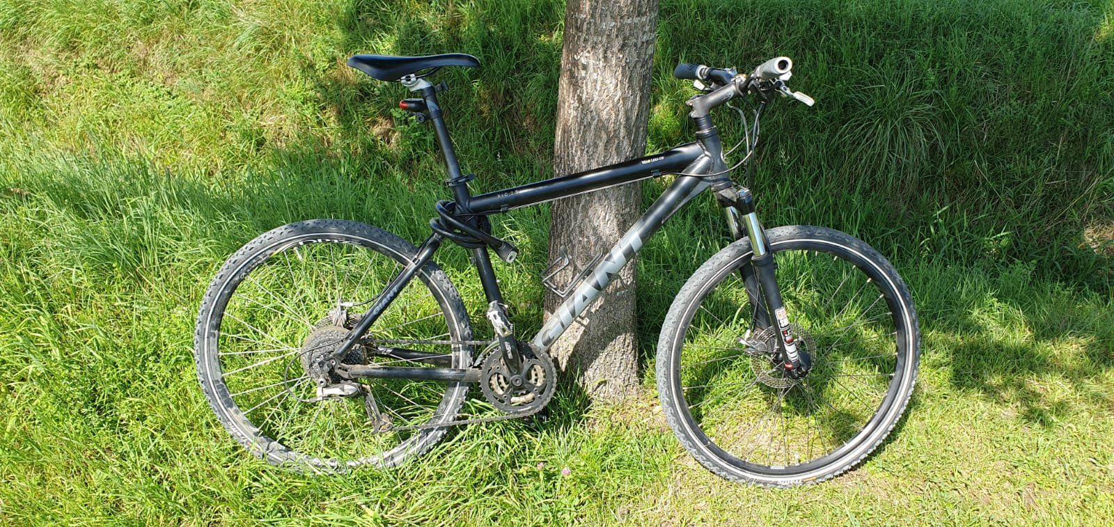 Giant Biciclette: Giant XTC 2.0 anthrazit 19'' Mountainbike – Usato da Märstetten venduto da activemember 3