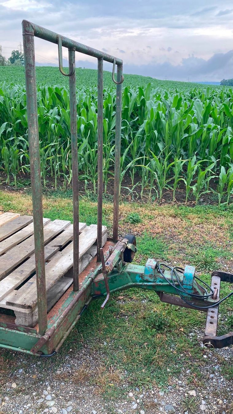 Anhänger: Tiefganganhänger – Gebraucht aus Weinfelden von _freexter_ 2