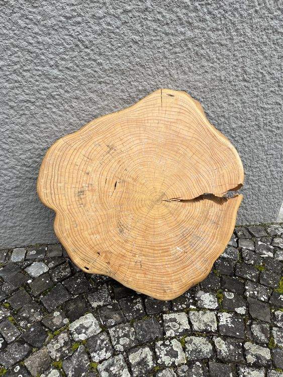 Baumscheibe Kaufen 100 Cm