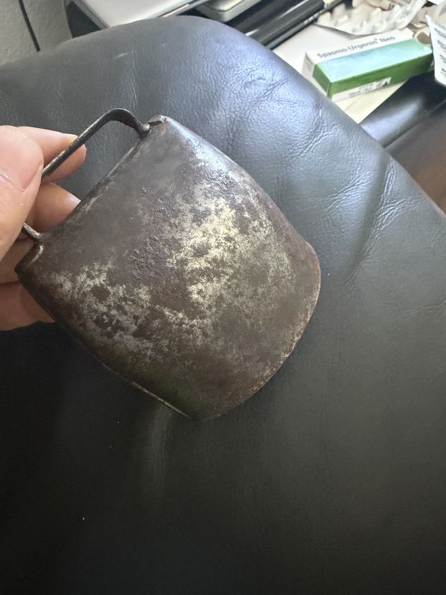 Campanacci mucche: Glocke Chamonix  – Usato da Baden venduto da noli.r 5