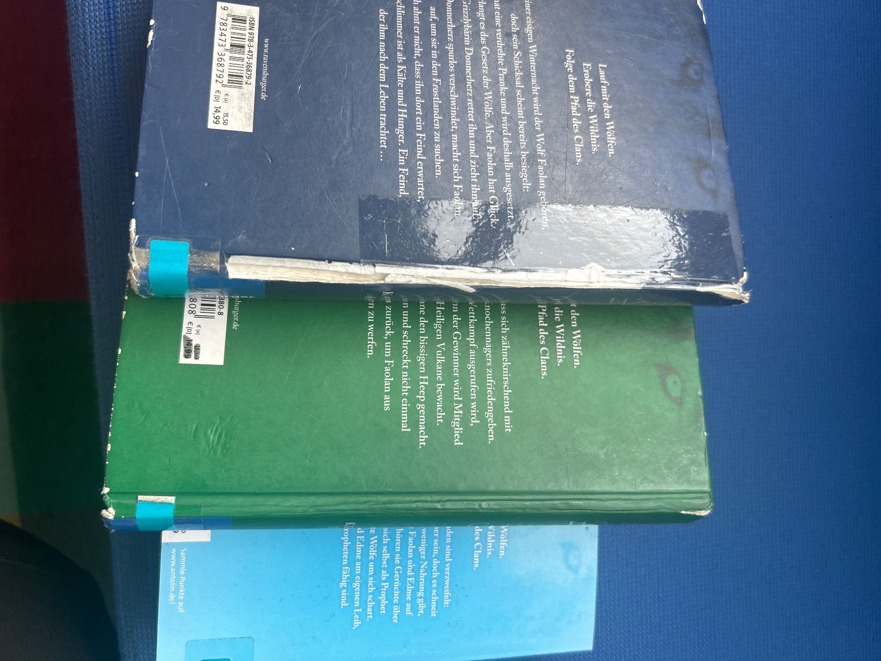 Libri: Der Clan der Wölfe – Usato da Zürich venduto da Madita_auf_der_Erbse 3
