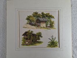 Lot 17 , 5 Stiche
