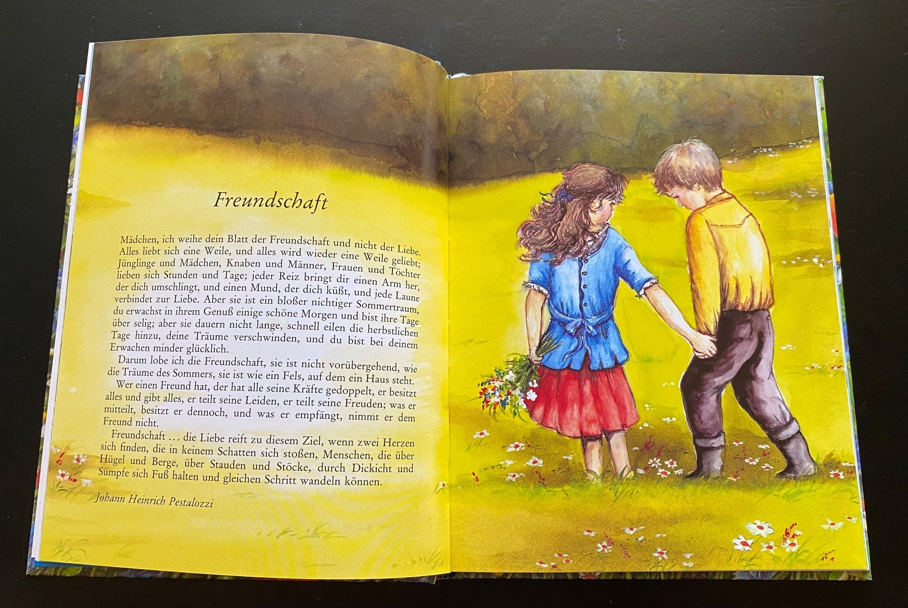 Libri: Danke, dass es Dich gibt – Usato da Nussbaumen AG venduto da schuba2000 3