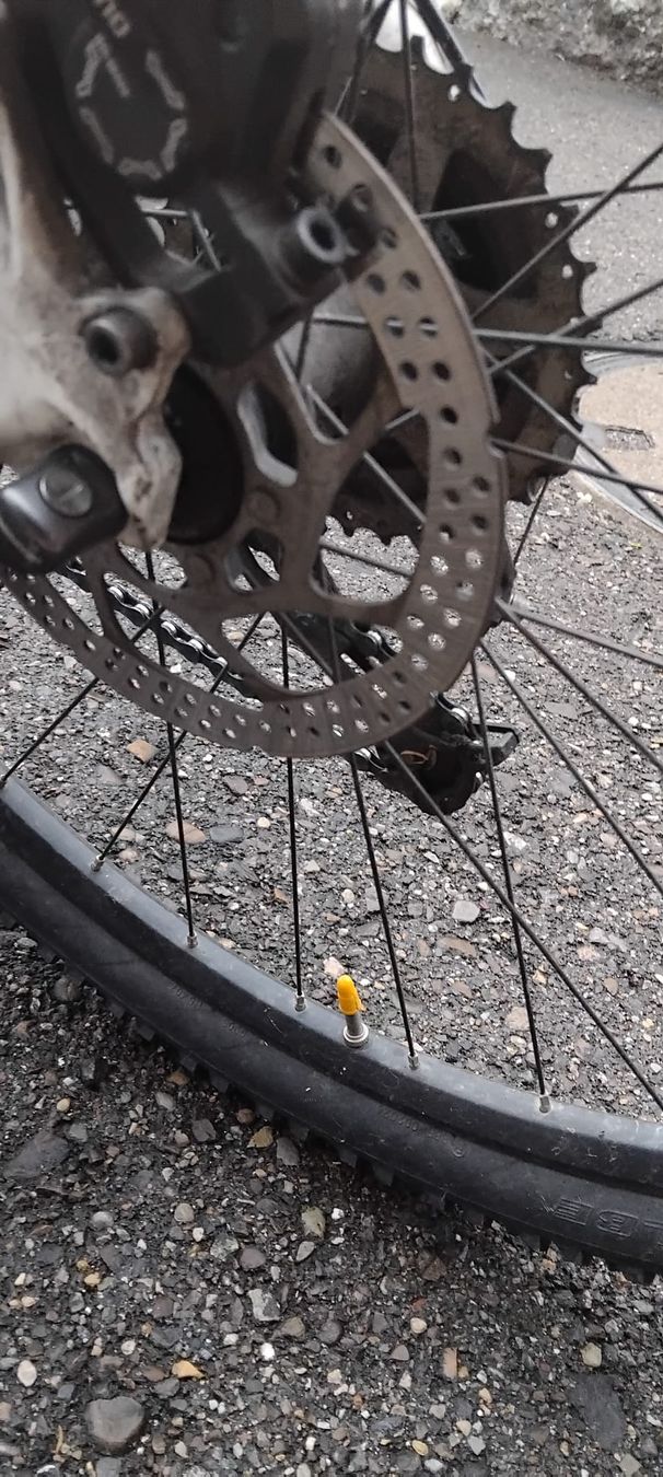 Scott Velos:  Scott Scale Mountainbike 26 – Gebraucht aus Rüthi (Rheintal) von Boschacat 3