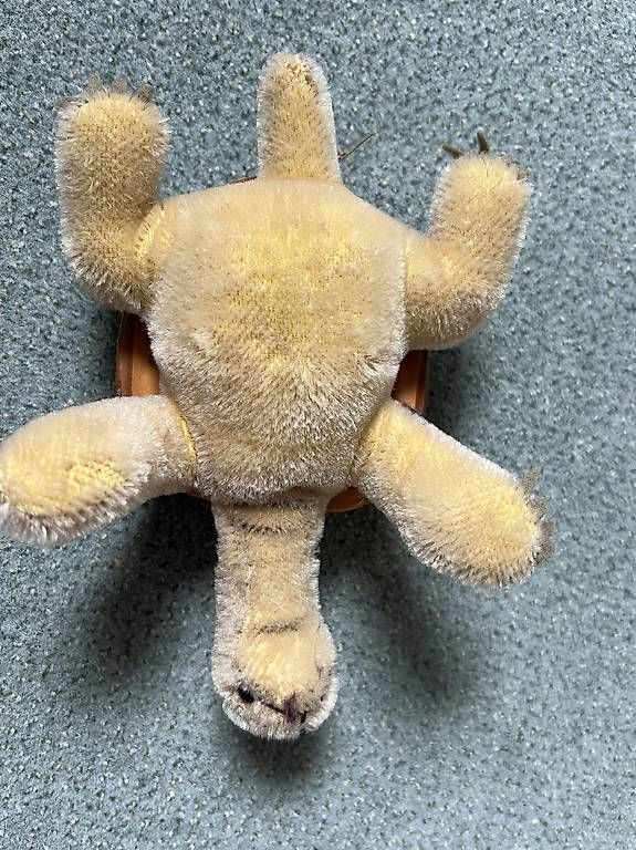 Giocattoli: Steiff Vintage Schildkröte Slo  – Usato da Zürich venduto da Voerny 1