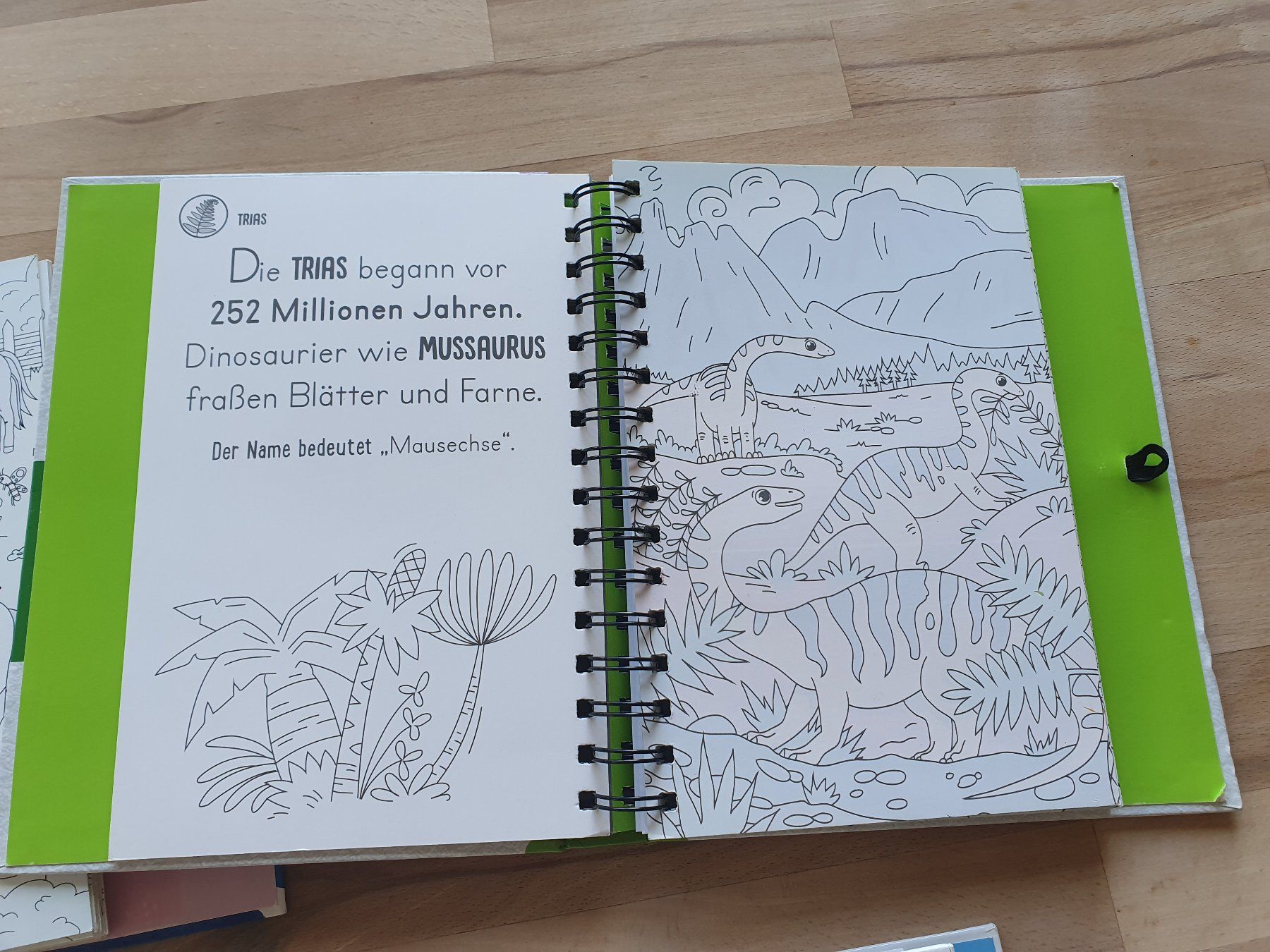 Bücher: 4 Magic Water Colouring Malbücher, ohne Wasserstift – Gebraucht aus Ebmatingen von zeitlos-gesund.ch 5