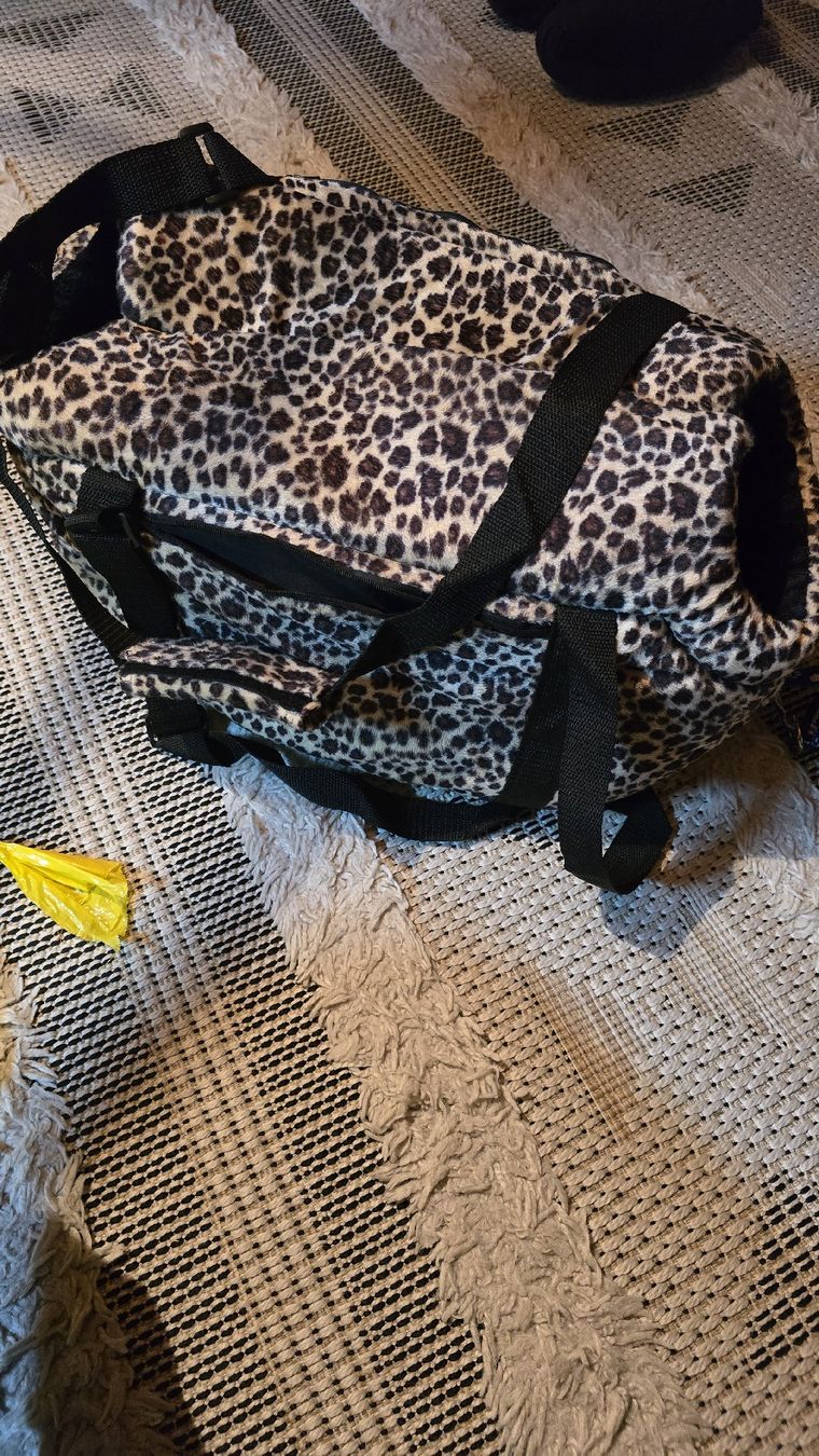 Sacs: hunde Tasche  – D'occasion à Schiers par ok3232 1