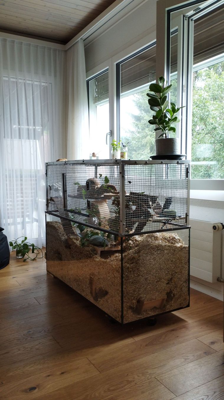Terrariums: Nagarium – D'occasion à Einsiedeln par viv_2pgm