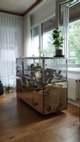 Nagarium