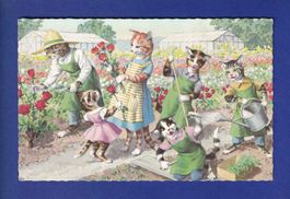CHAT - Chats humanisés