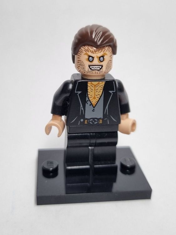 Lego best sale fenrir greyback