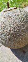 Kugelstein/Beton Dekor Kugel- 20 cm Durchmesser
