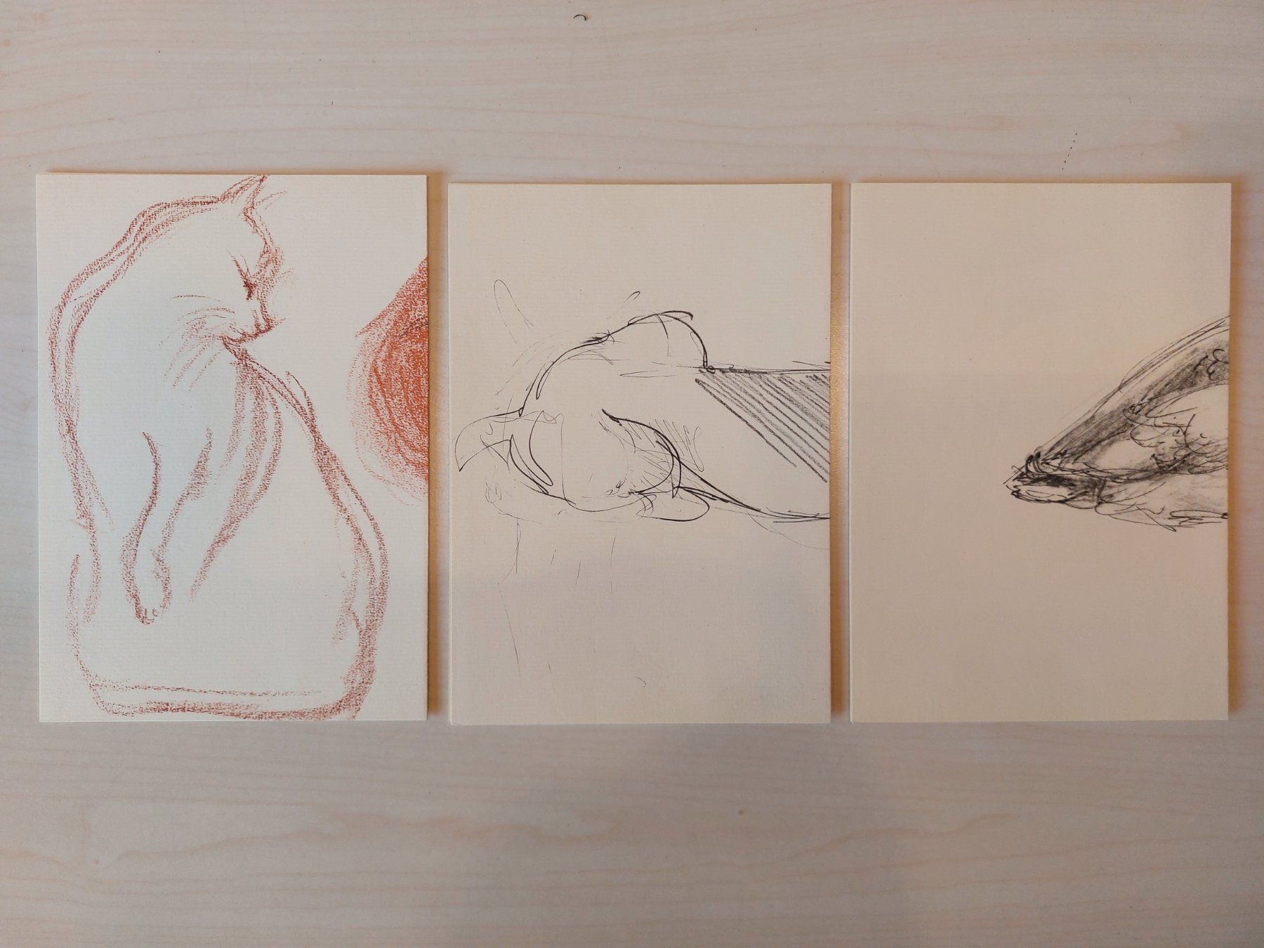 Gemälde: Kunstmappe Lotte Günthart meineTiere – Gebraucht aus Heerbrugg von Sonytime 7