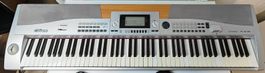 C.Giant Digitalpiano SP5500, 88 Tasten