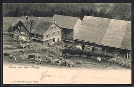 AK Wald /ZH, Pooalp, Gehöft mit Kühen