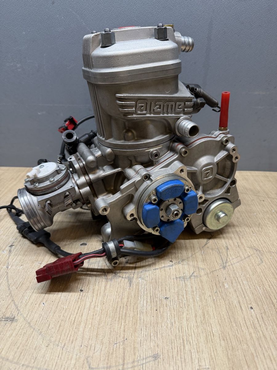 Karts: Motor Iame X30 Senior – Gebraucht aus Oberurnen von mic_n2fl 3