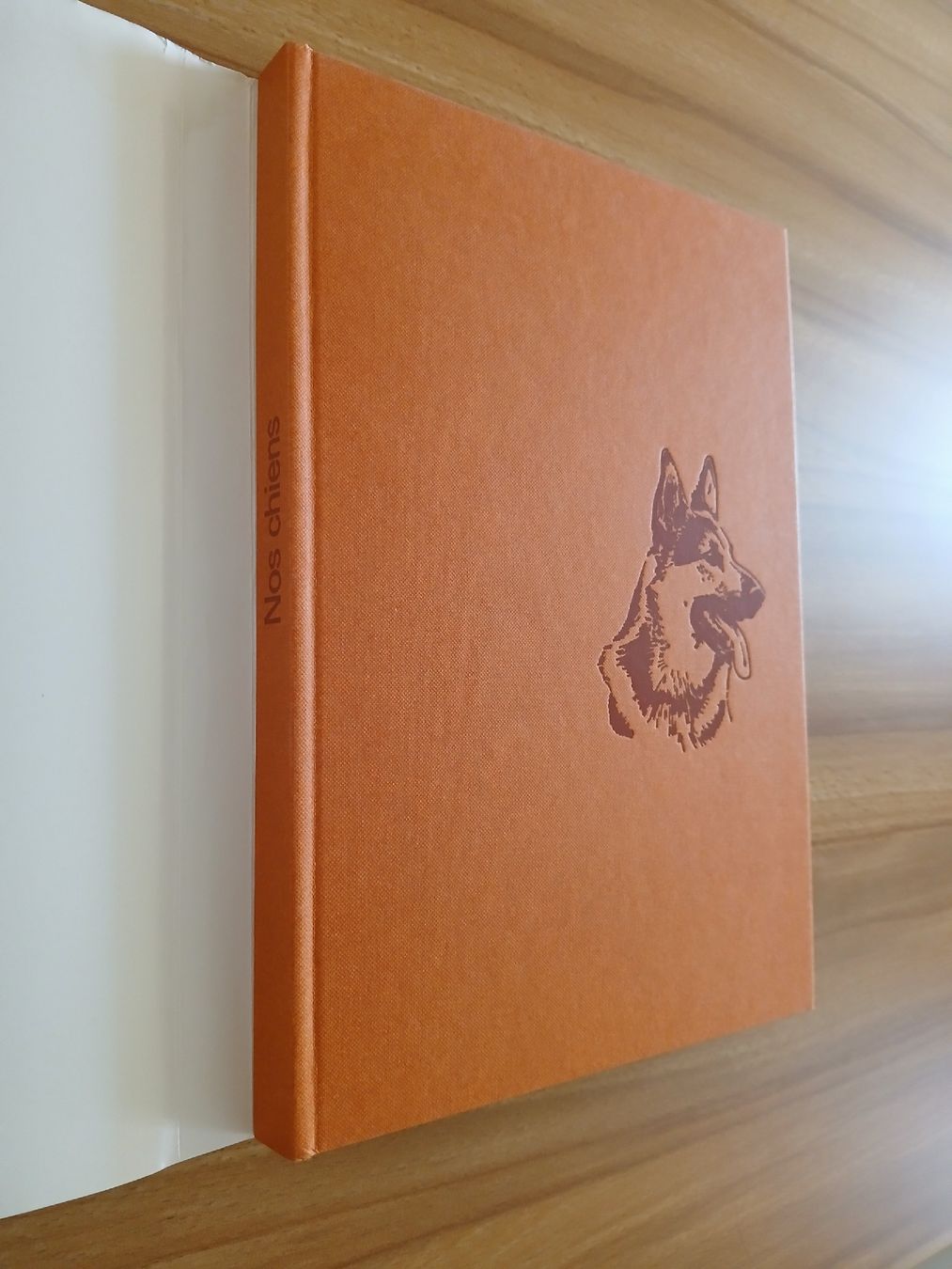 Libri: Nos chiens – Usato da Le Sentier venduto da arc_2thy 1