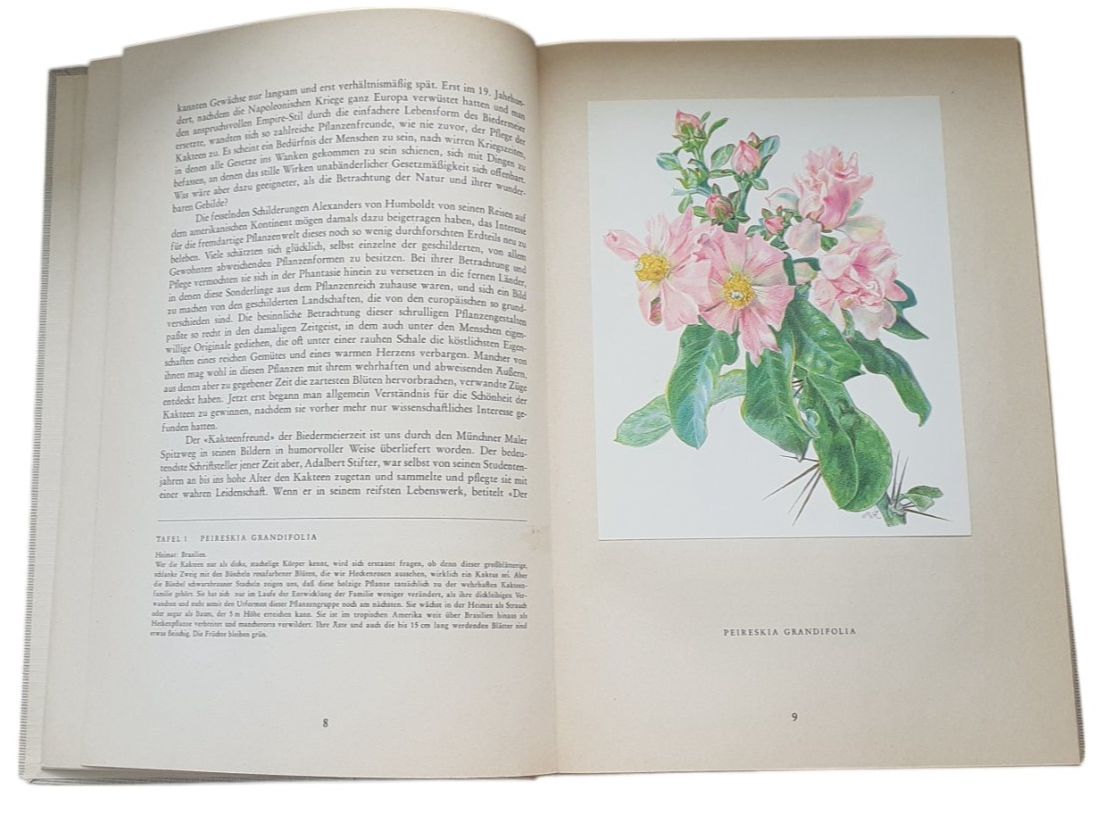 Libri: Kakteen Silva 1954 – Usato da Mörschwil venduto da lindaswunderkiste 4