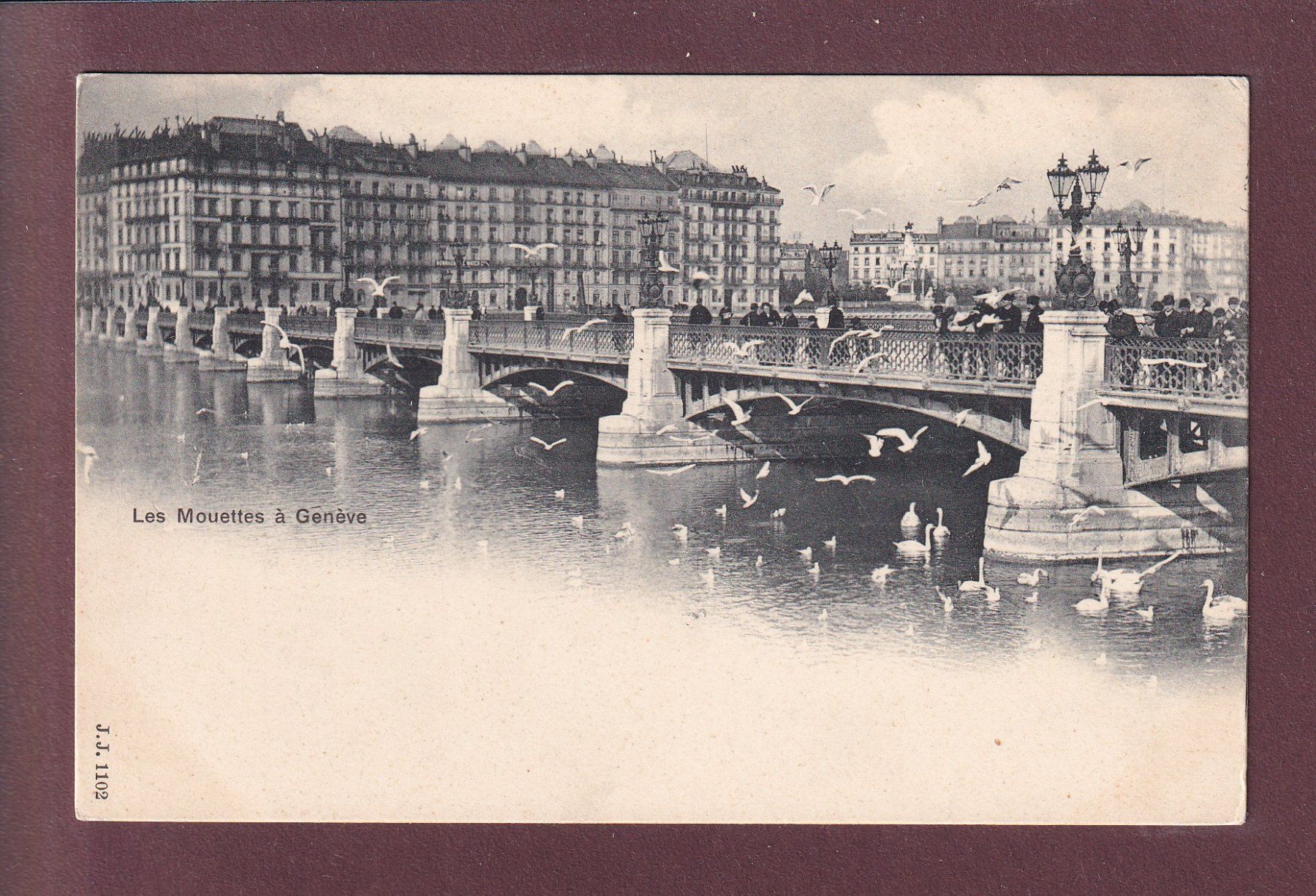 Cartes postales: GENEVE - Les Mouettes – D'occasion à Pully par nicecards