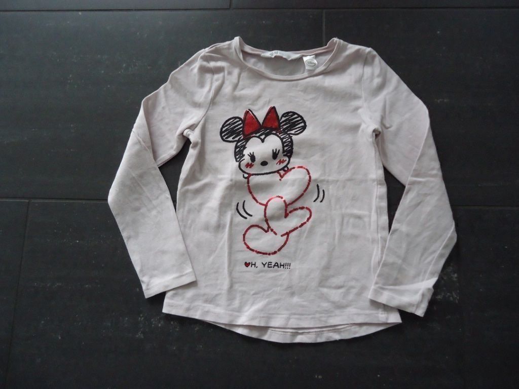 H&M Maglioni & Felpe: Pullover von H&M, Grösse 110/116 – Usato da Wohlen AG venduto da Michi761