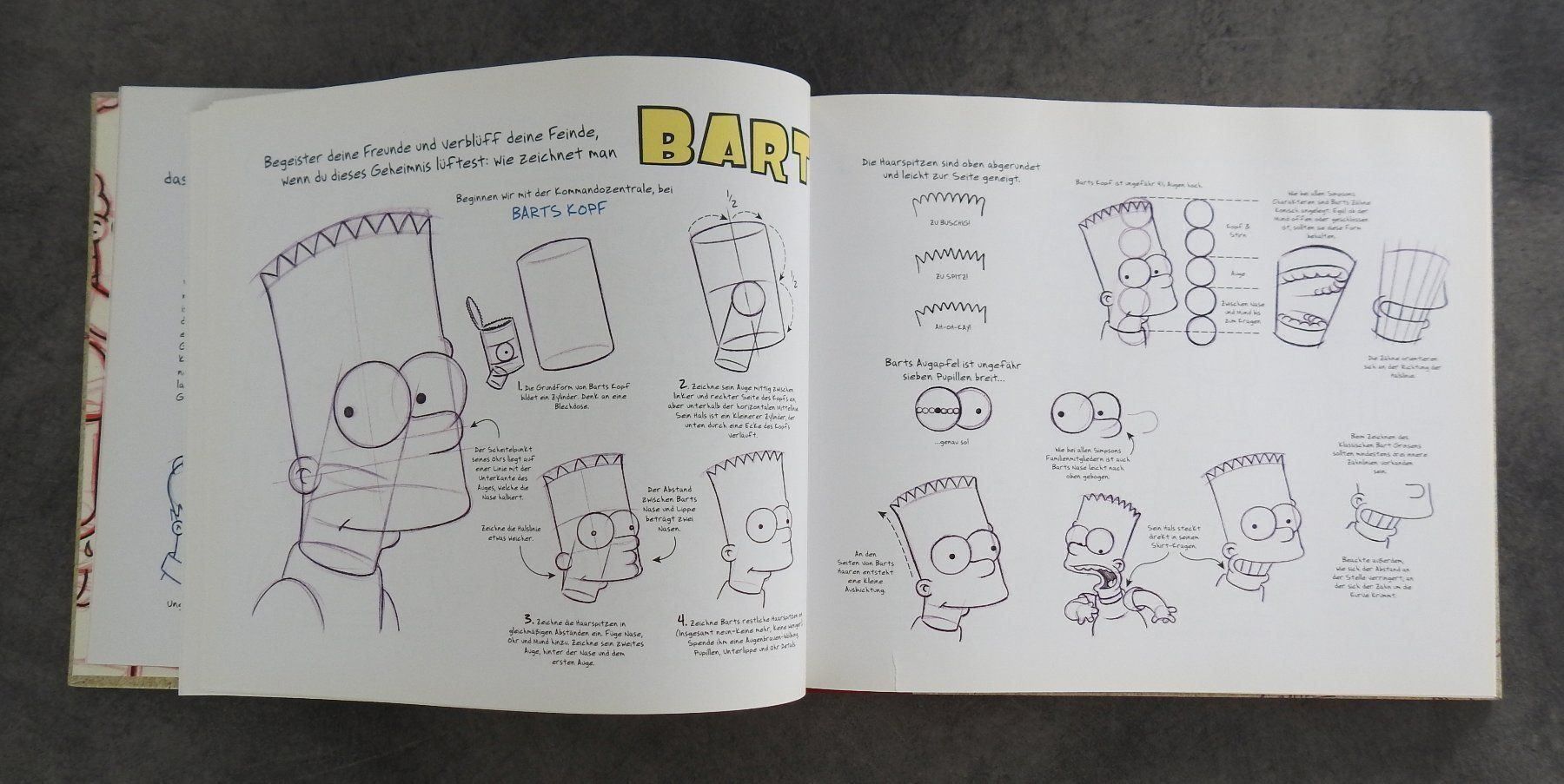 Libri: The Simpsons Handbuch - NEU – Nuovo e nell'imballaggio originale da Zürich venduto da Piki7 6