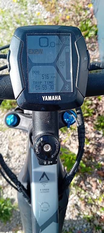 Biciclette: Wheeler fully 45km/h speed – Usato da Wangen an der Aare venduto da nicole-s 3