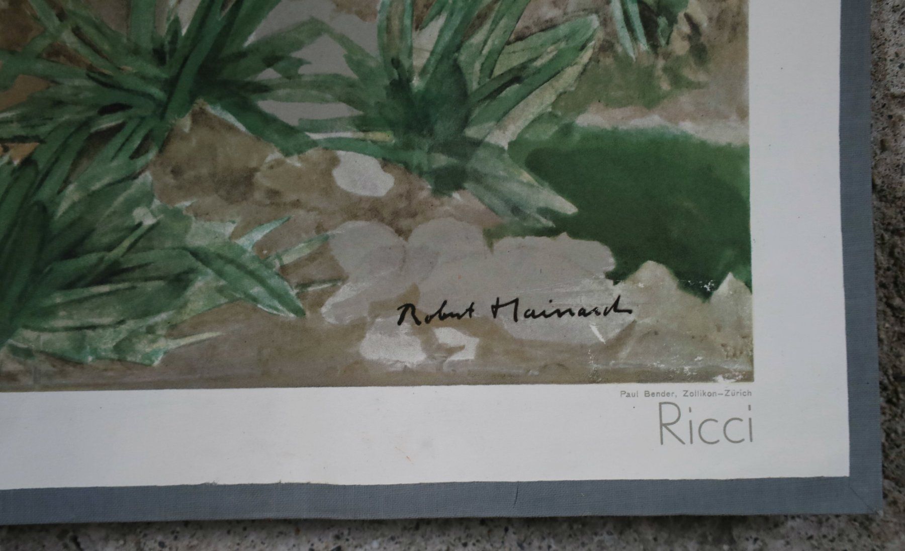 Poster & Bilder: Schulwandbild, Wandbild, Lehrbild "Igel" Robert Hainard – Gebraucht aus Birrwil von brandschatz_birrwil 2
