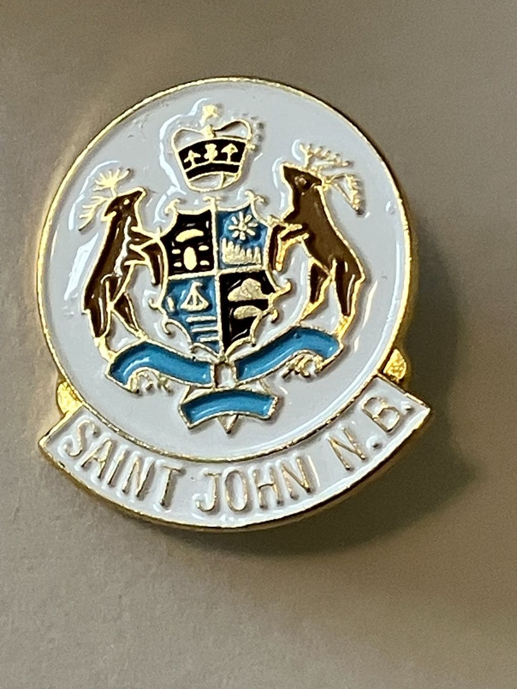 Placchette & Badge: 1 Pin Saint John N.B. – Usato da Basel venduto da djwwpp