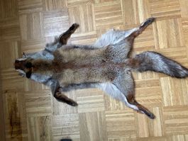 Peau de renard authentique