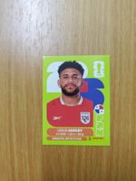 Panini WM 2026 Sticker - PAN 15