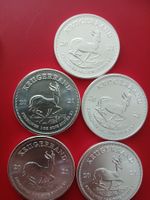 (3) 5 Stk. Silbermünzen Krugerrand 2021. 1 unze Silber