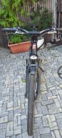 IBEX Comfort Neo s pedelec