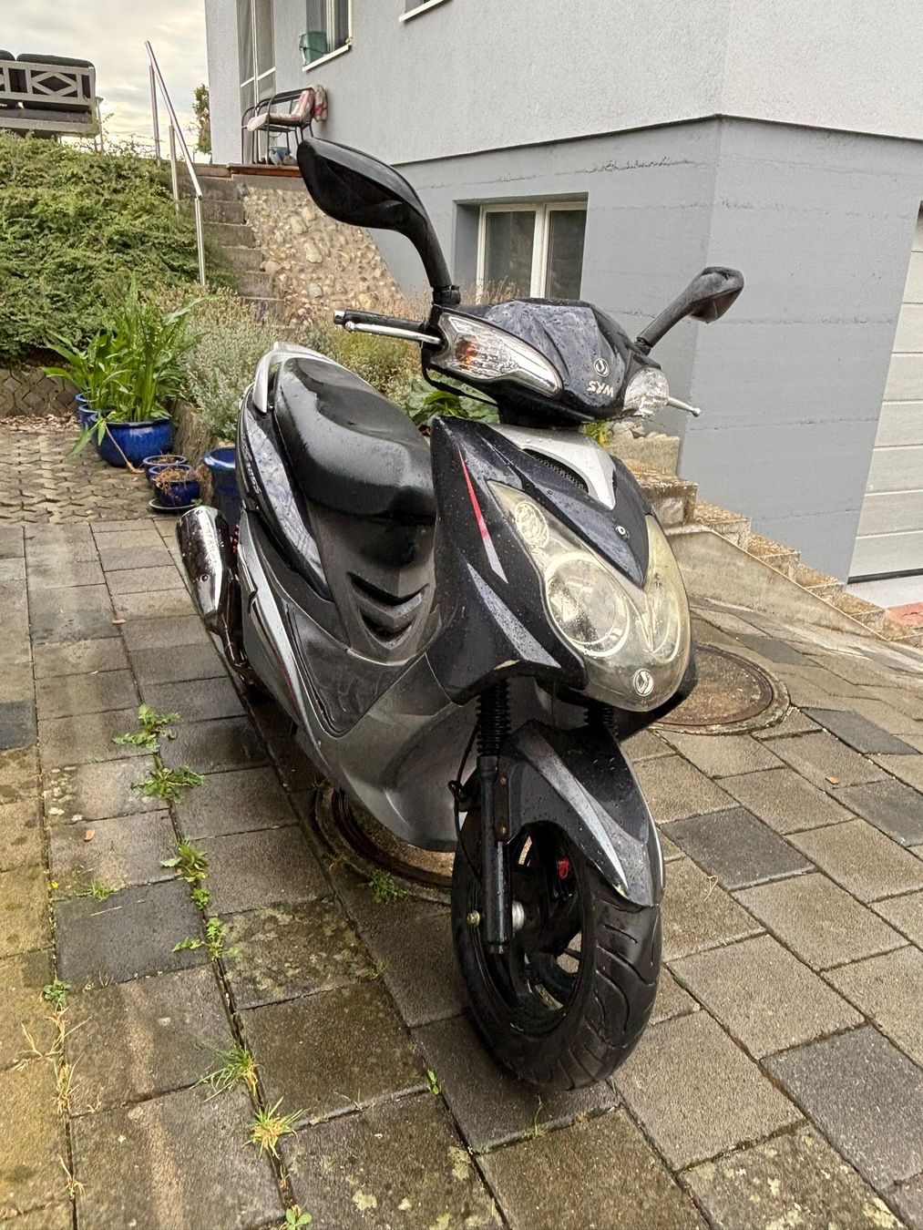 Sym Scooter: Scooter SYM  VS 125 – Usato da Surpierre venduto da rat_6gn6 1