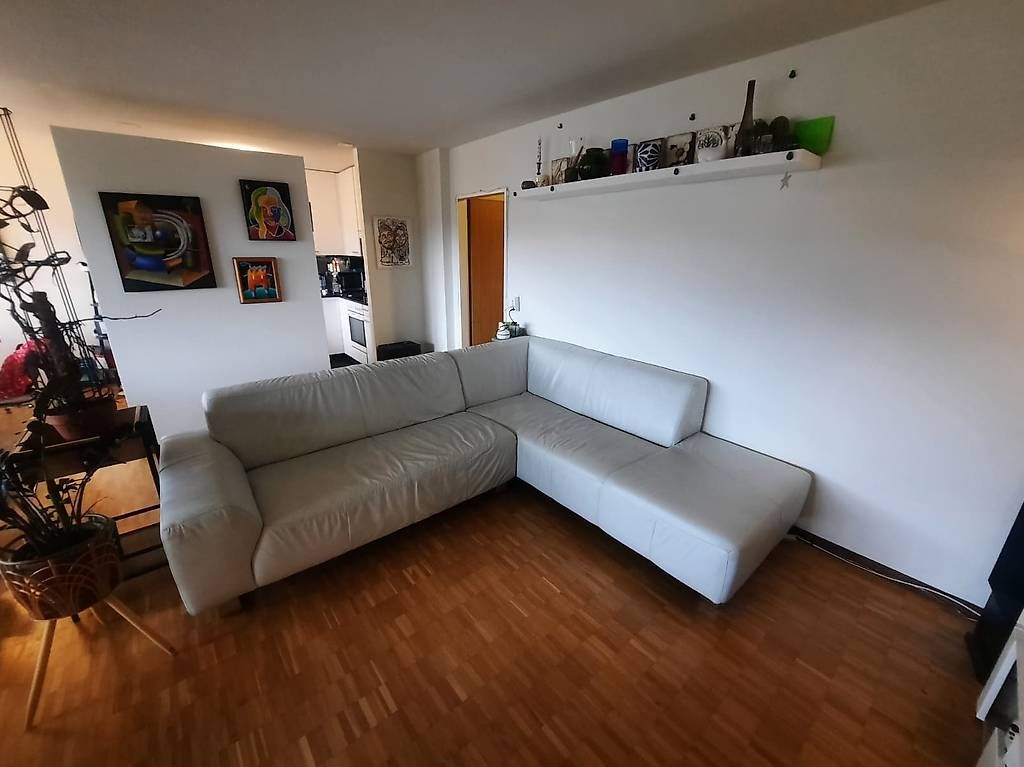 Pfister Divani: Möbel Pfister Ecksofa Echtleder - hellgrau - 255 × 220 cm – Usato da Aarau venduto da Amothan 2