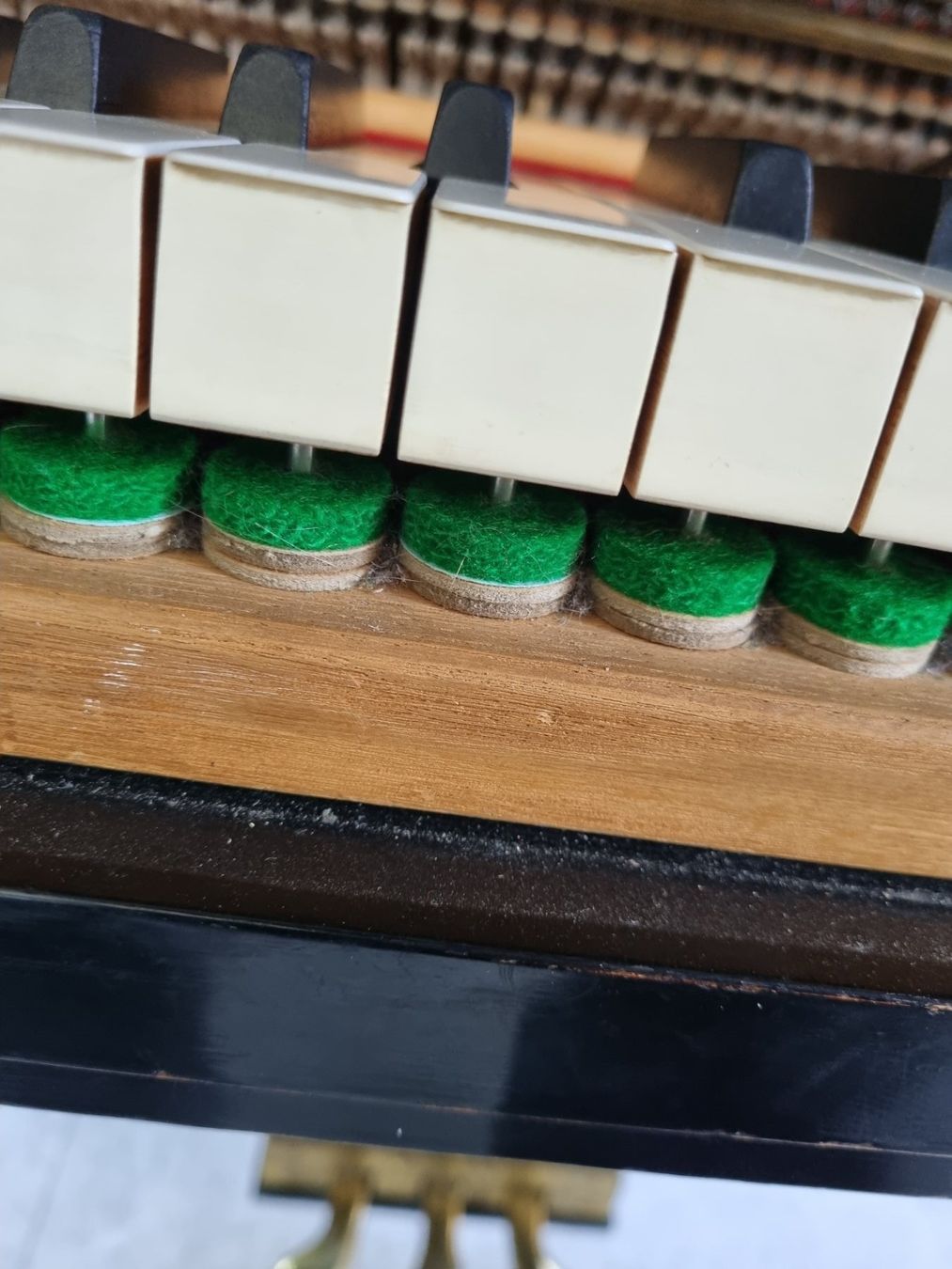 Steinway Strumenti musicali: Steinway B revidiert  1928 Boston – Usato da Winterthur venduto da hadok7 3