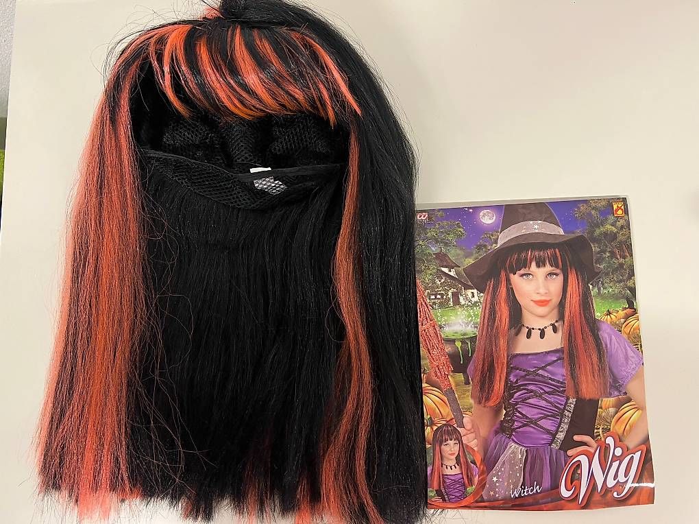 Costumi: Vestito di carnevale  – Usato da Bellinzona venduto da sam_d5y7 1