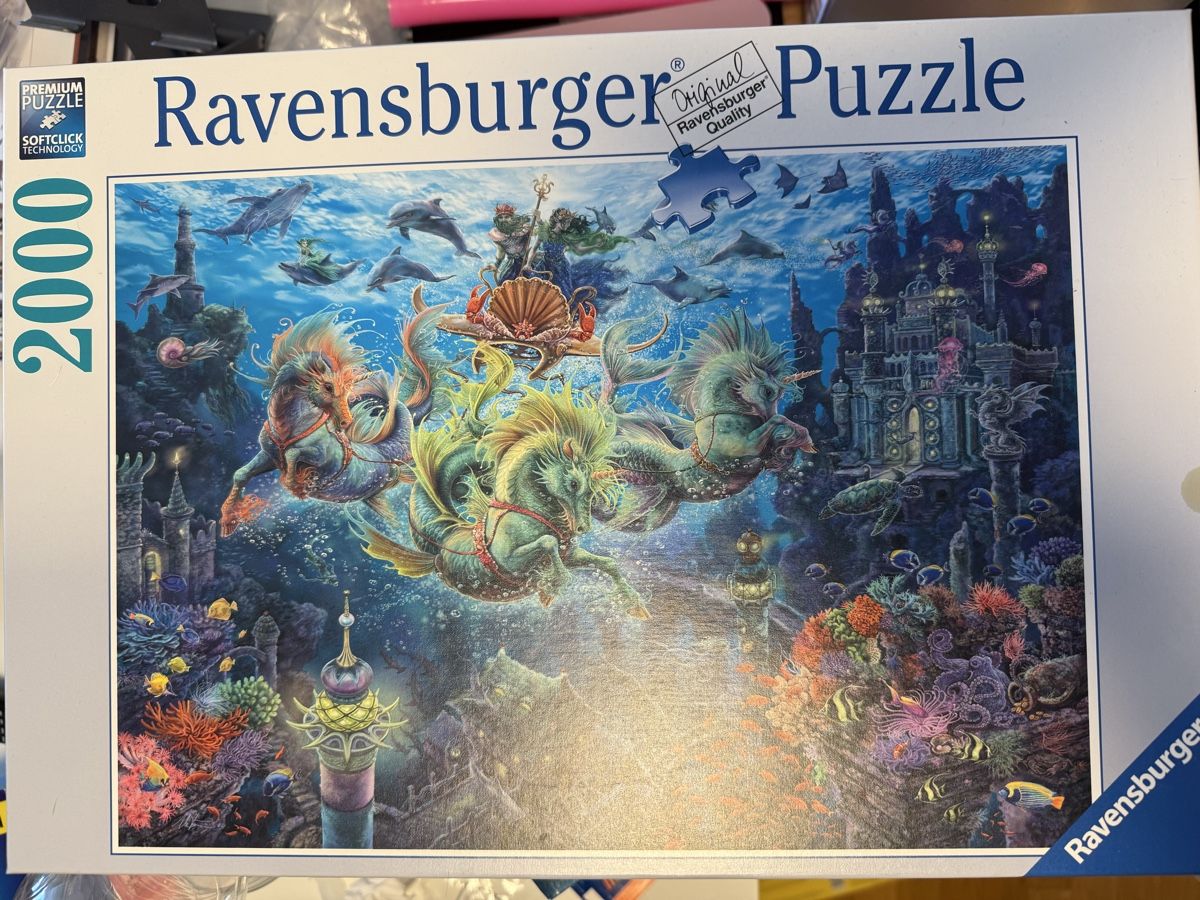 Ravensburger Puzzle: Puzzle / 2000 / komplett – Usato da Regensdorf venduto da isatoby9591