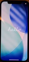 iPhone 12 Pro 256 GB Pazifikblau  Akku 100%