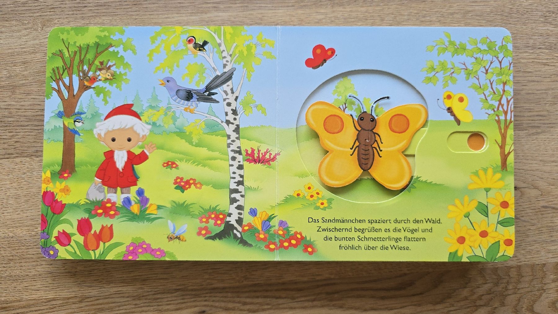 Libri: Sandmännchen Buch – Usato da Buchberg venduto da MaddieF 1