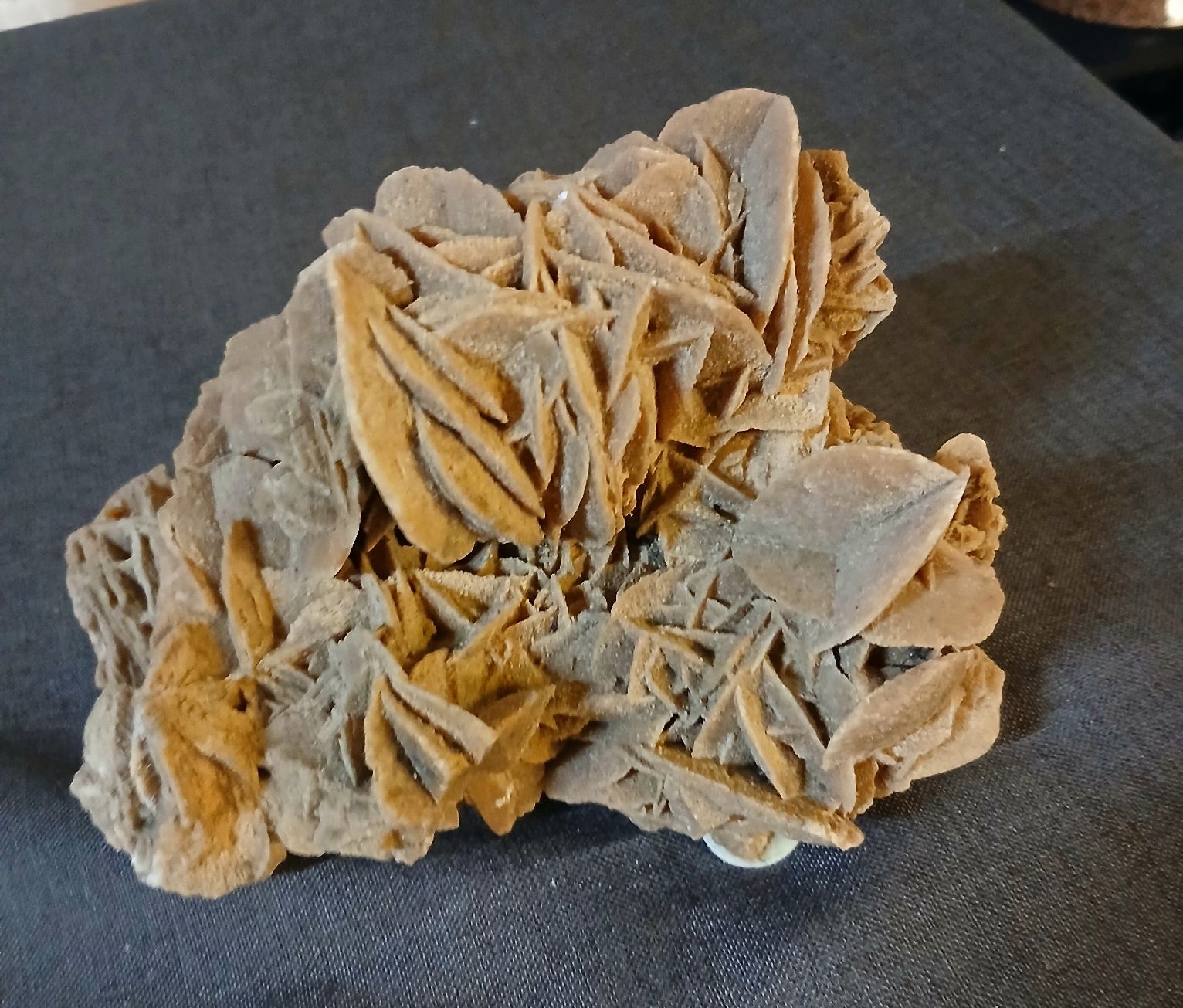 Mineralien & Heilsteine: Grande rose des sables  – Neu (gemäss Beschreibung) aus LE MONT-SUR-LAUSANNE von CHOCO04 1