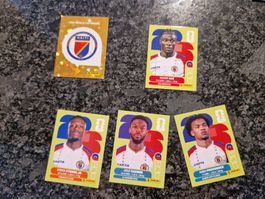 Panini WM 2026 HAI