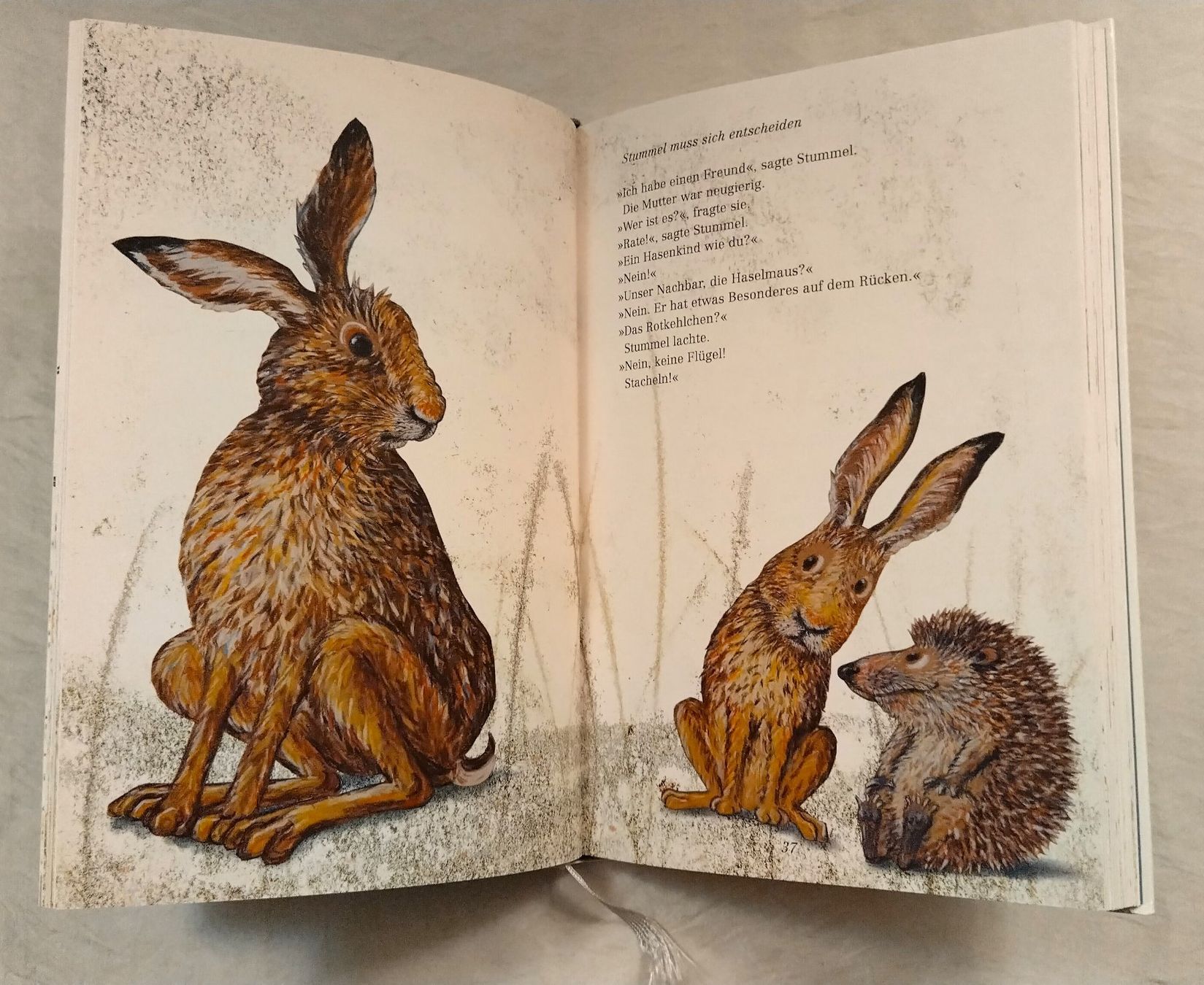 Bücher: Hase Stummel, ein Hasenkind wird gross / Kathrin Schärer – Gebraucht aus Bellach von JingleJerry 5