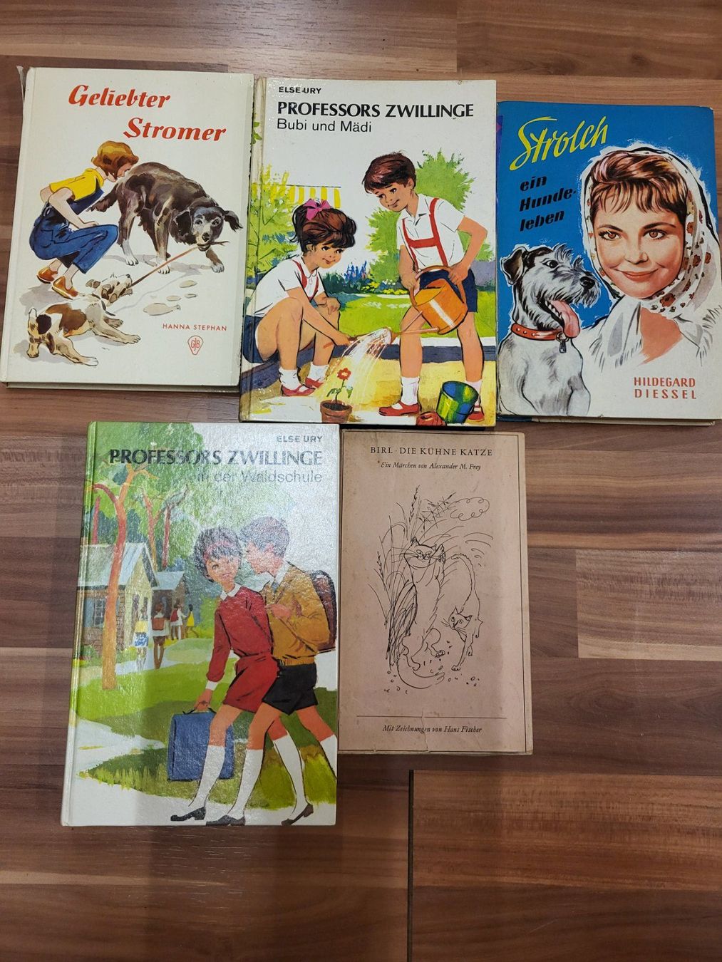 Libri: 5 ältere Lesebücher B3 – Usato da Schwarzenburg venduto da Flamingo07