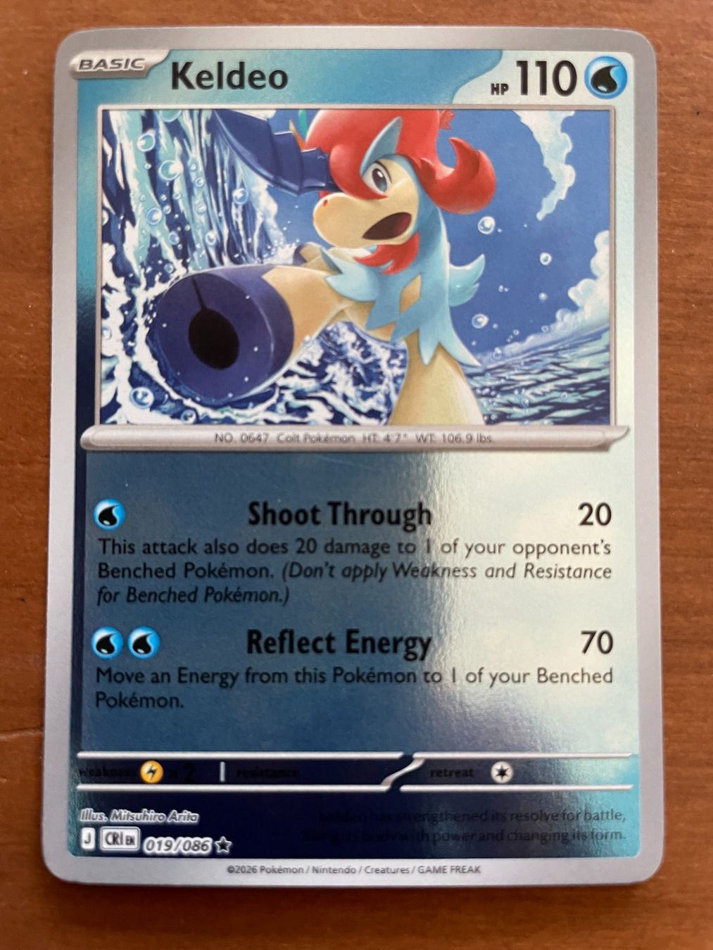 Pokémon Carte collezionabili: Pokemon Keldeo Reverse (Versand gratis) – Nuovo (secondo la descrizione) da Chur venduto da Angerson